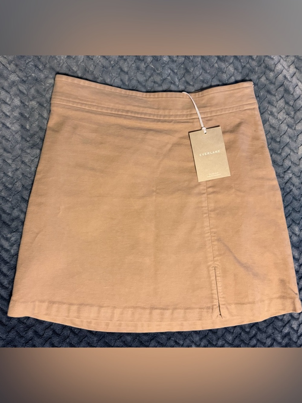 Everlane Tan Suede Skirt